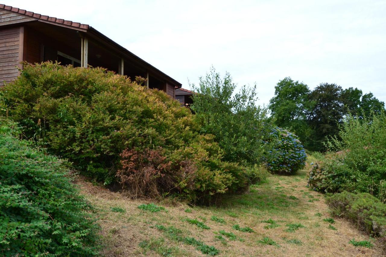 Beautiful View 3 Bedroom Chalet.