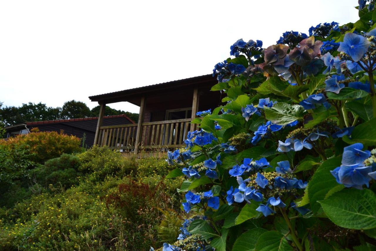 Beautiful View 3 Bedroom Chalet.
